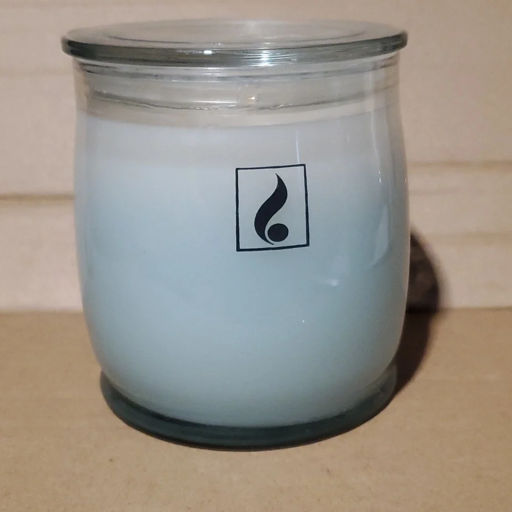 CUCUMBER MELON Medium/16 oz two wick Bella jar Gold Canyon candle